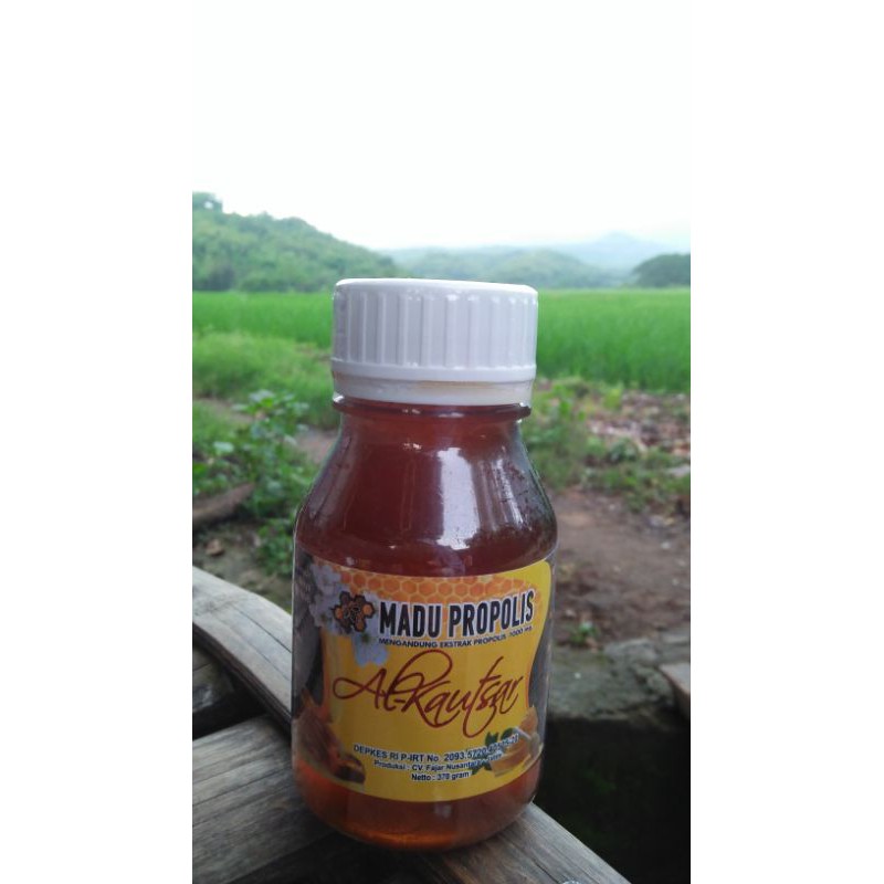 

Madu Propolis 370 gr