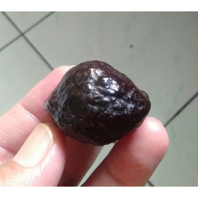 Muncang Adu Anak Denpom UrGen Garung