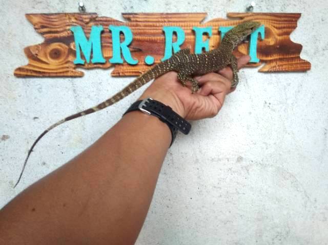 Vrn Nebu Shopee Indonesia