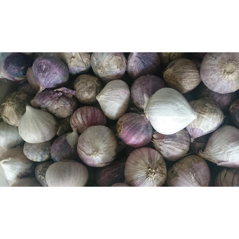 

Bawang Putih Tunggal/Lanang 250 g