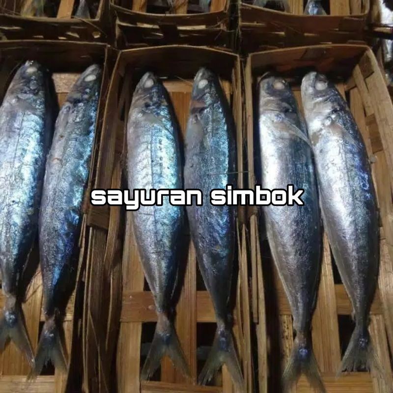 

Ikan cuek salem fresh isi 2 ikan fresh bogor