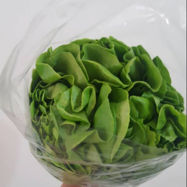 

Selada Butterhead / Butterhead Lettuce 500 gram