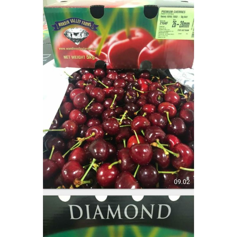 

RED CHERRY AUSTRALIA / TAZMANIA / FRESH / BUAH SEGAR.