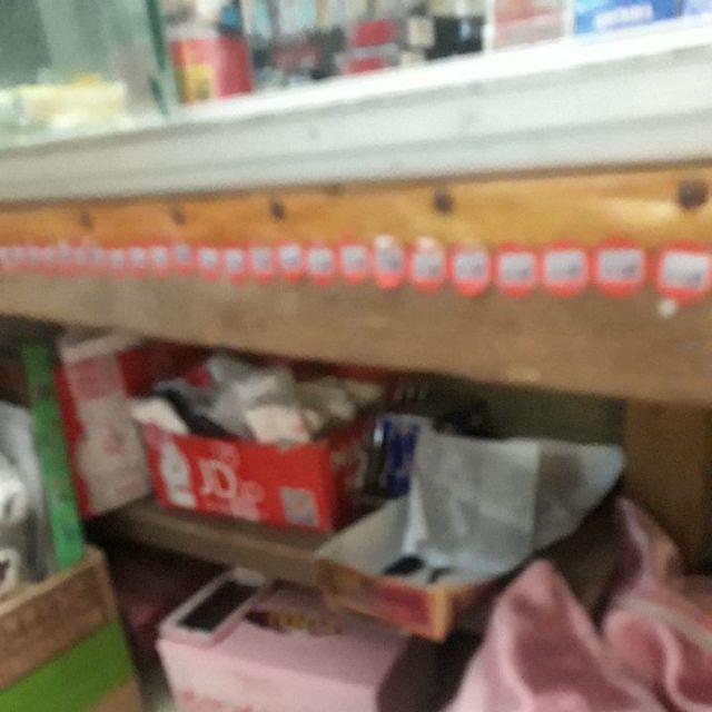 Tempat Bekal Lolly Warna Seadanya