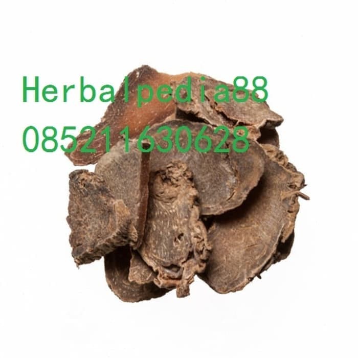 

E Zhu Curcumae Zedoaria Rhizoma 100 gram