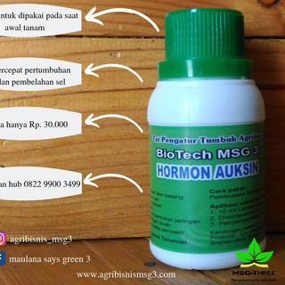 Terbaru Paket ZPT  Hormon Tanaman Auksin  Giberelin 