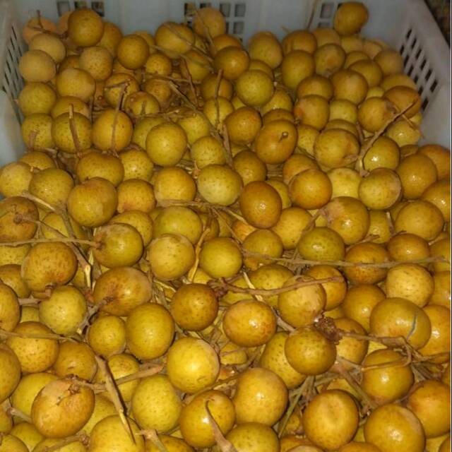 

Longan Bangkok Super