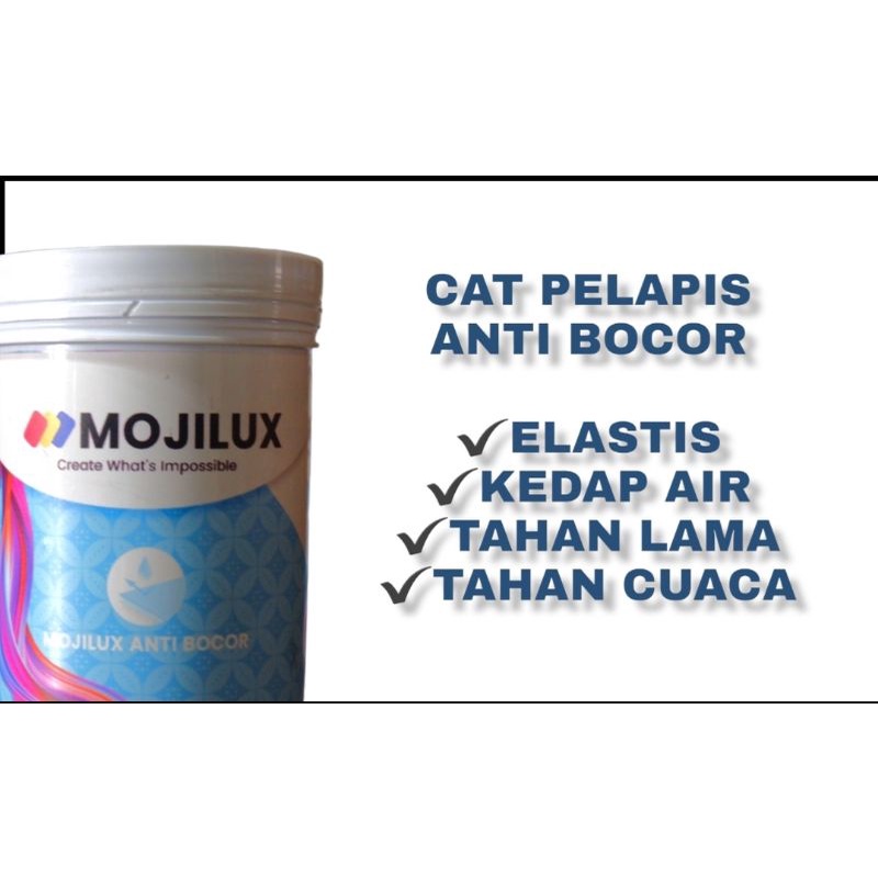 CAT Tembok Exterior Warna Abu-Abu Muda / Gelap