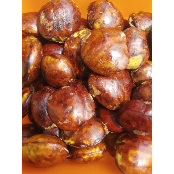 

jengkol tua fresh