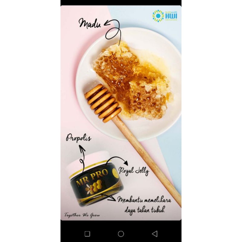 Mr pro- Madu herbal hwi