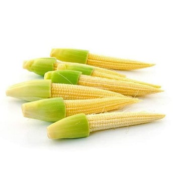 

Jagung Muda/Jagung Baby 500g