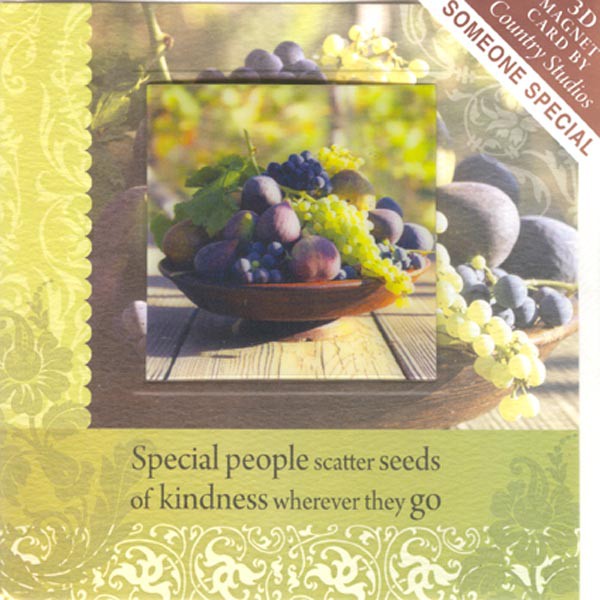 

3D Card With Magnet Card Gambar Buah