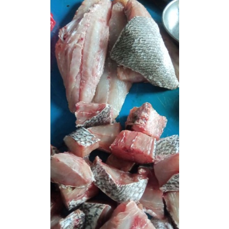 

ikan kakap putih potong