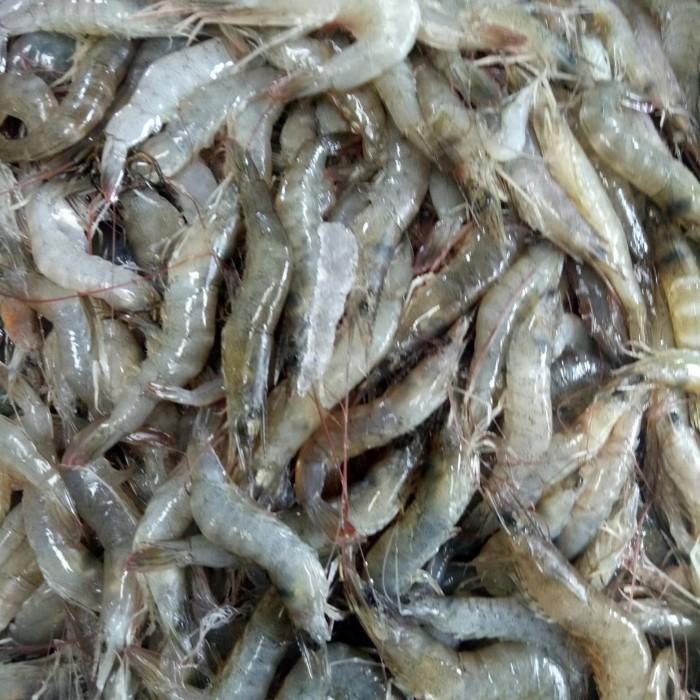 

UDANG BEKU 200 GRAM