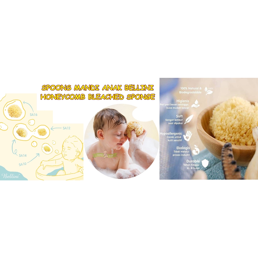 PERA254 SPOONS MANDI BAYI BELLINI HONEYCOMB BLEACHED SPONGE