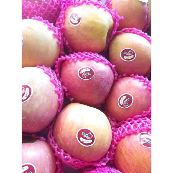 

APEL FUJI KRES MANIS SEGAR, KRIUK 100%