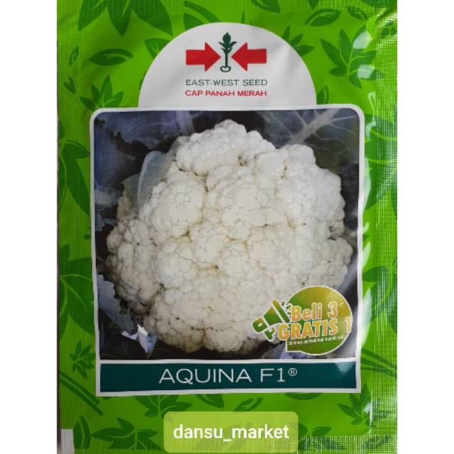 Benih Bunga Kol Aquina F1