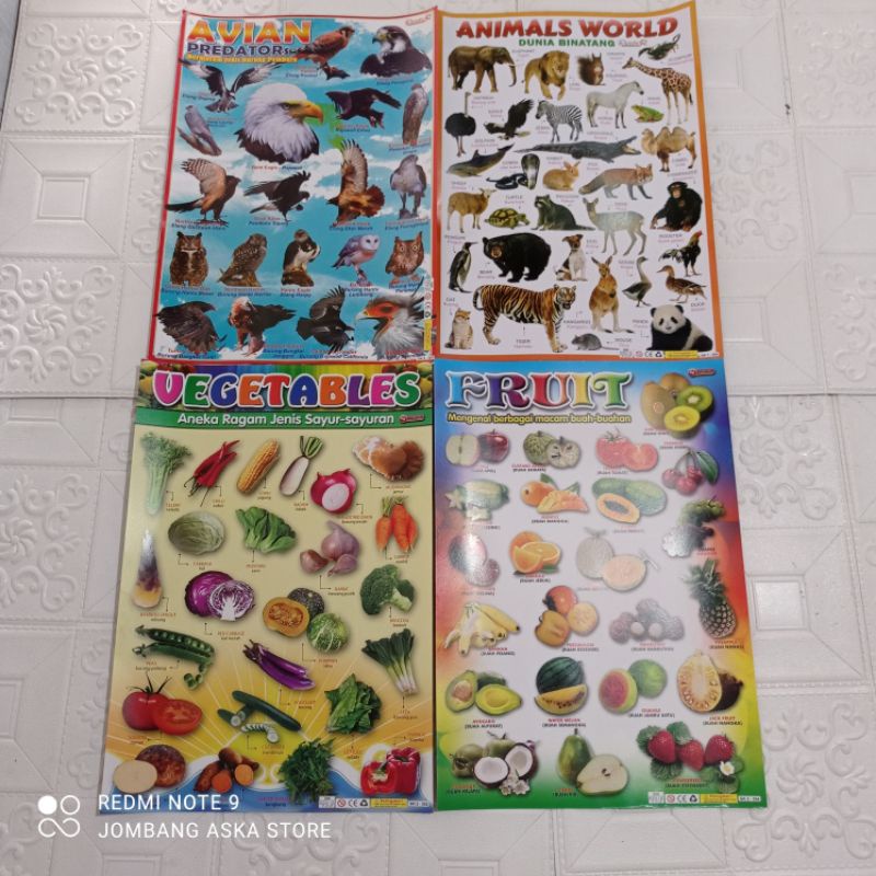 

Poster Edukasi Anak Paud, TK, SD