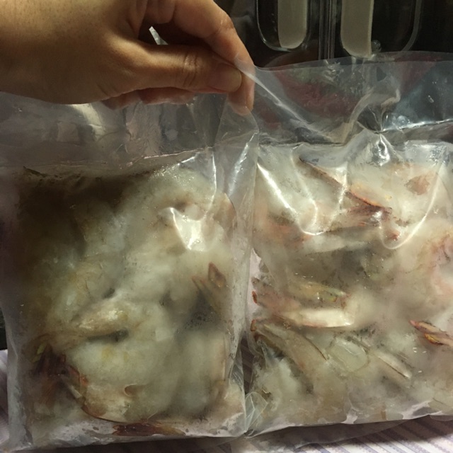 

Udang Jerbung Sedang