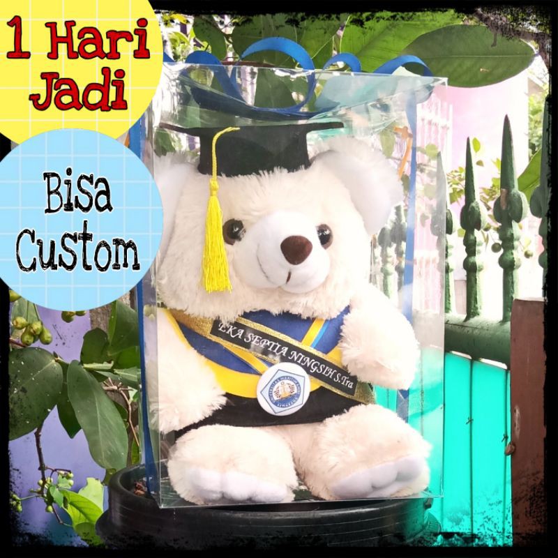 BONEKA WISUDA TEDDY BEAR 30CM + SELEMPANG