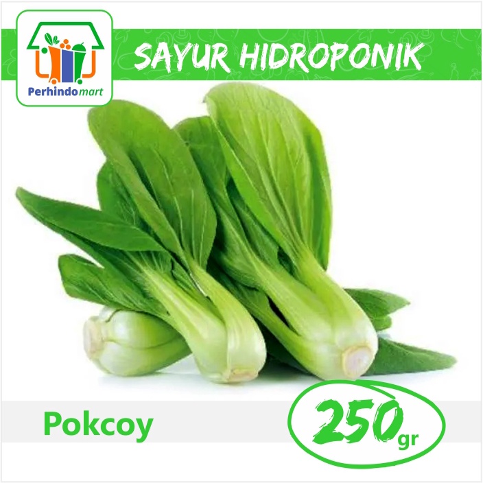 

Pokcoy Hidroponik (Surabaya & Sidoarjo only)