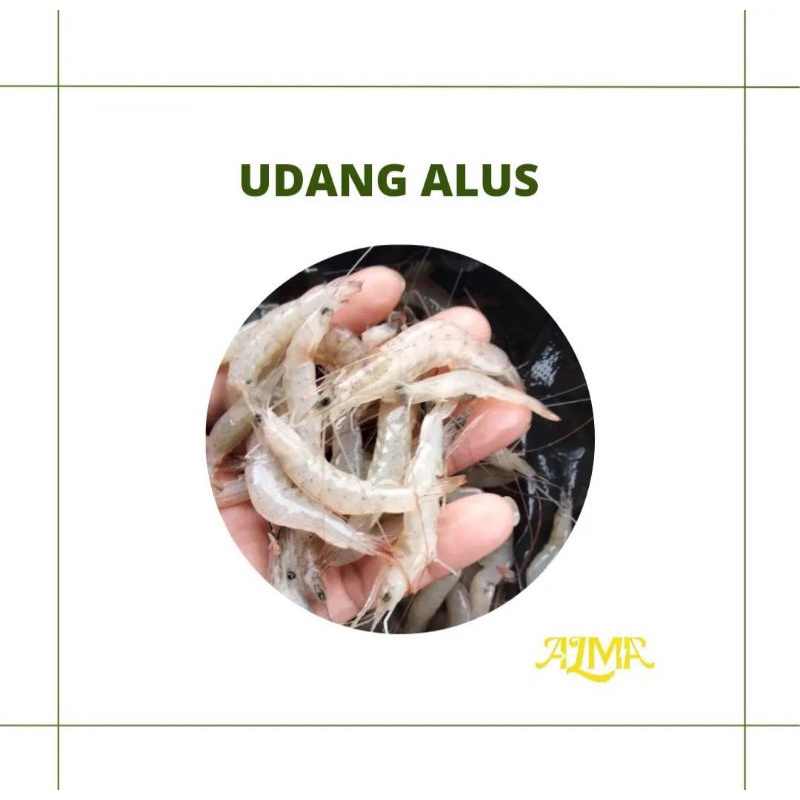 

UDANG ALUS / UDANG