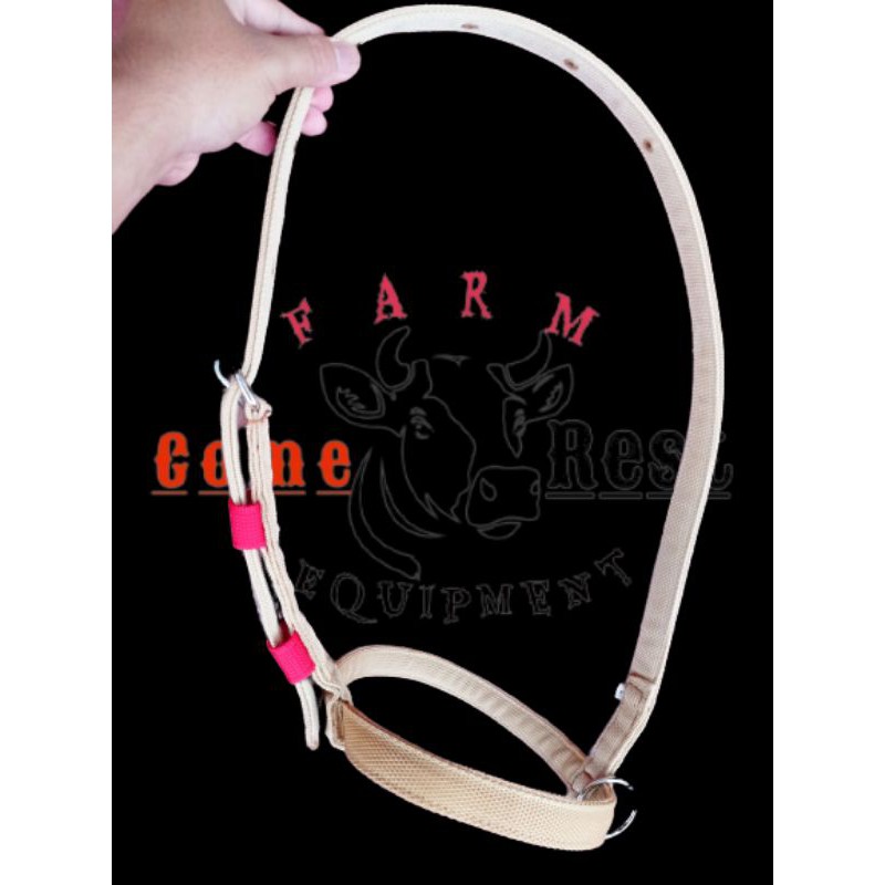 Head Halter Sapi bahan Tebal