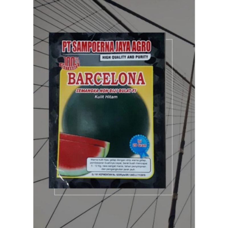 BENIH SEMANGKA NON BIJI BARCELONA 20 gr