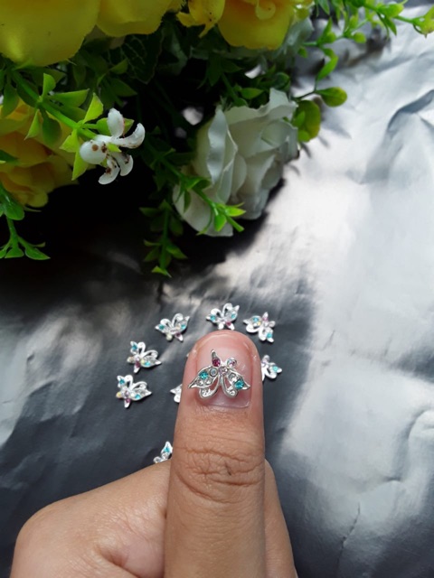 Kupu kupu Nail art Bahan Nailart Fake nail Bahan Craft Kuku palsu
