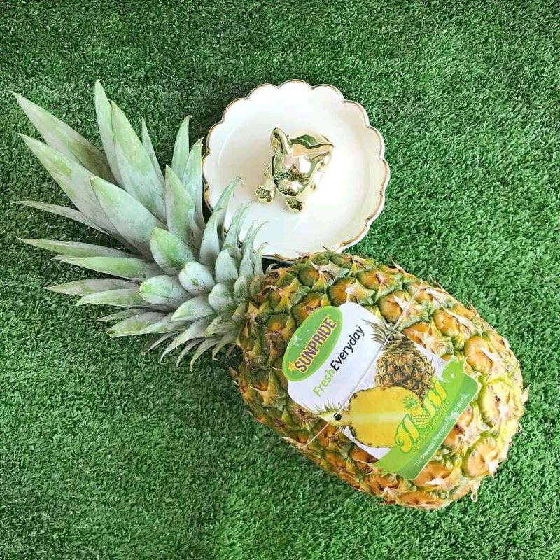 

nanas honi sunpride sedang