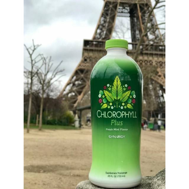 Chlorophyll Plus Synergy 25 OZ (730 ml) Original untuk Membantu Regenerasi Sel dan Memperkuat Imun