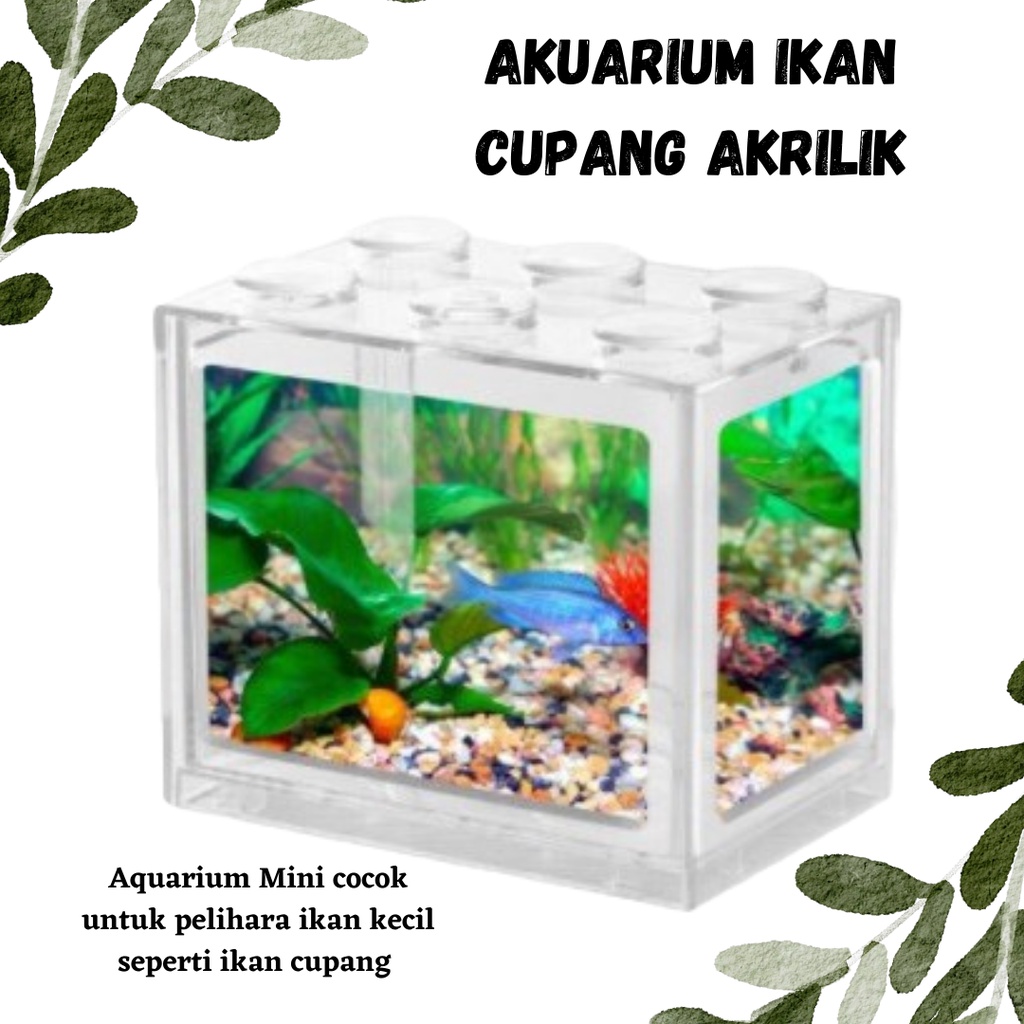 TERBARU!!! Akuarium Ikan Cupang Akrilik Aquarium Mini Acrylic Banyak Warna