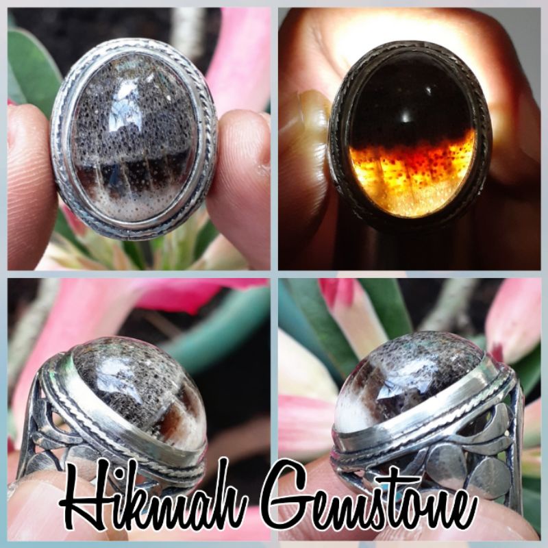 Batu Fosil Kayu Kelor Kristal Kendit Motif Gigi