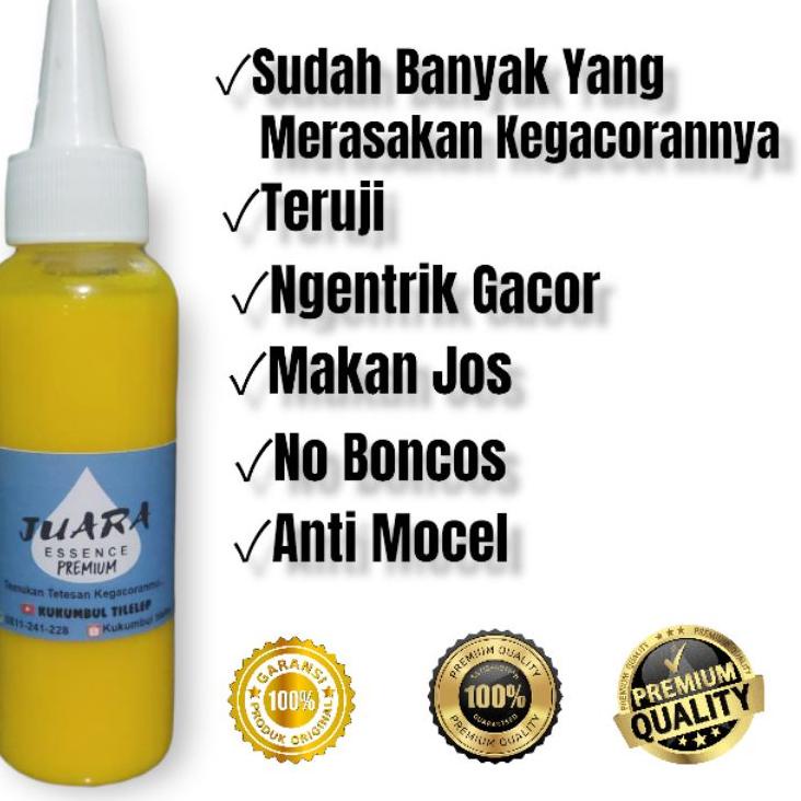 Paling Sesuai.. Essen Ikan Mas Paling Bagus, Essen Juara Untuk Lomba Mancing Ikan Mas Harian, Essen 