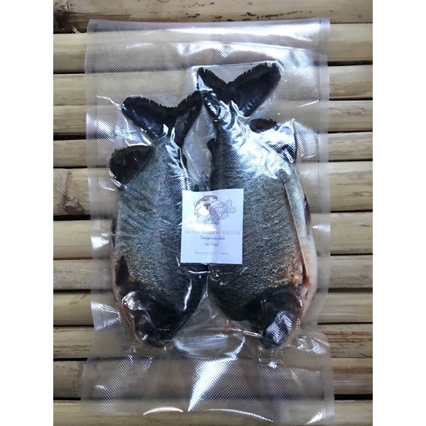 

ikan bawal segar
