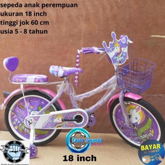 sepeda anak perempuan 18 inch - Ungu Original
