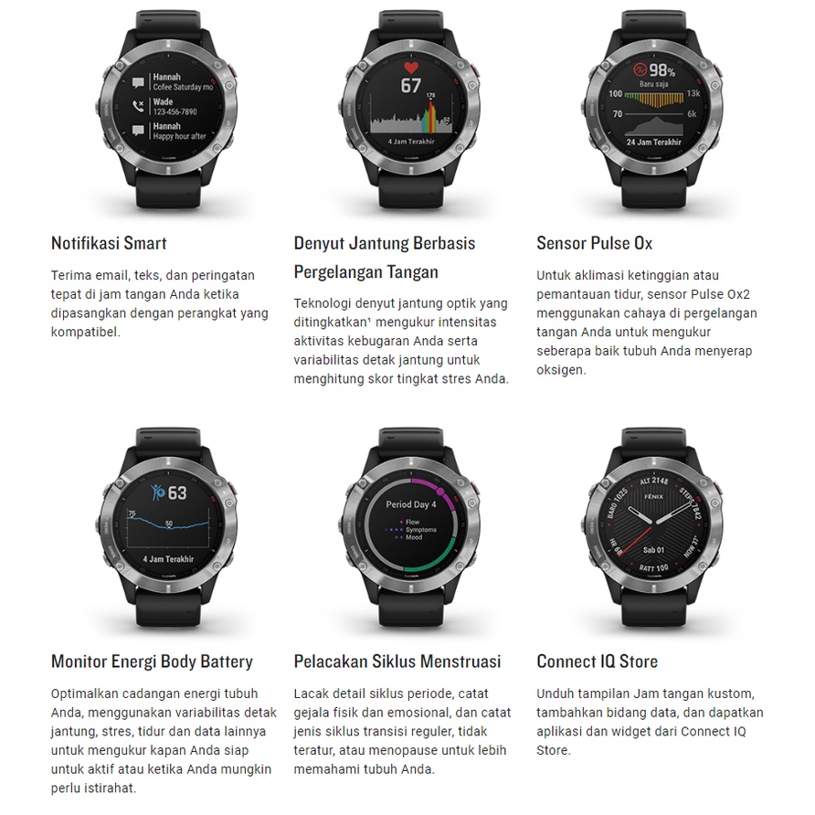 Garmin Fenix 6