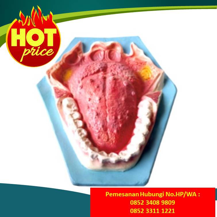 

LANGSUNG KIRIM!! Daftar Harga Alat Peraga BKKBN 2020 Tambaksari Surabaya