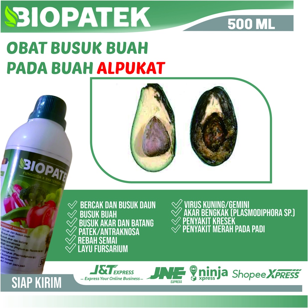 [TERLARIS] Obat Hama Buah Alpukat BIOPATEK Fungisida Organik Ampuh Untuk Mengobati Buah Alpukat Busu