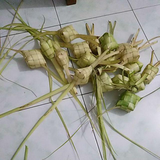 Janur Kelapa Muda Harga Perbiji