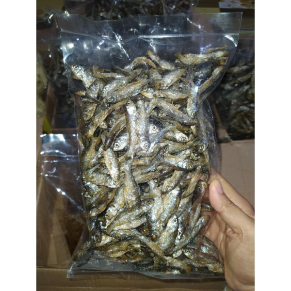 

Termurah Ikan Bilih Singkarak, ikan bilih super murah 500 gr | best seller | produk original