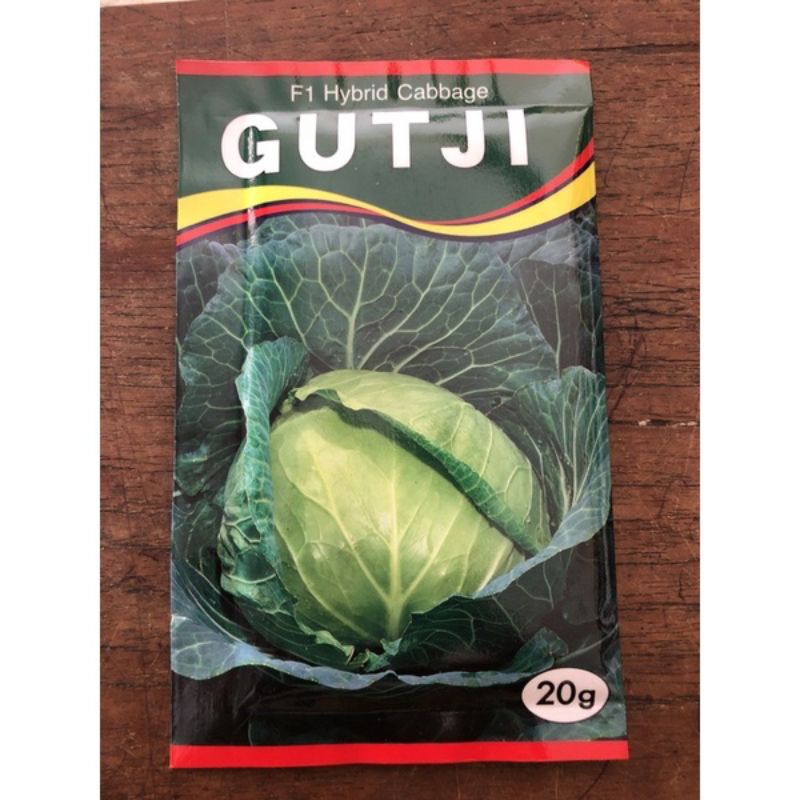 BENIH KUBIS GUTJI F1 ORIGINAL