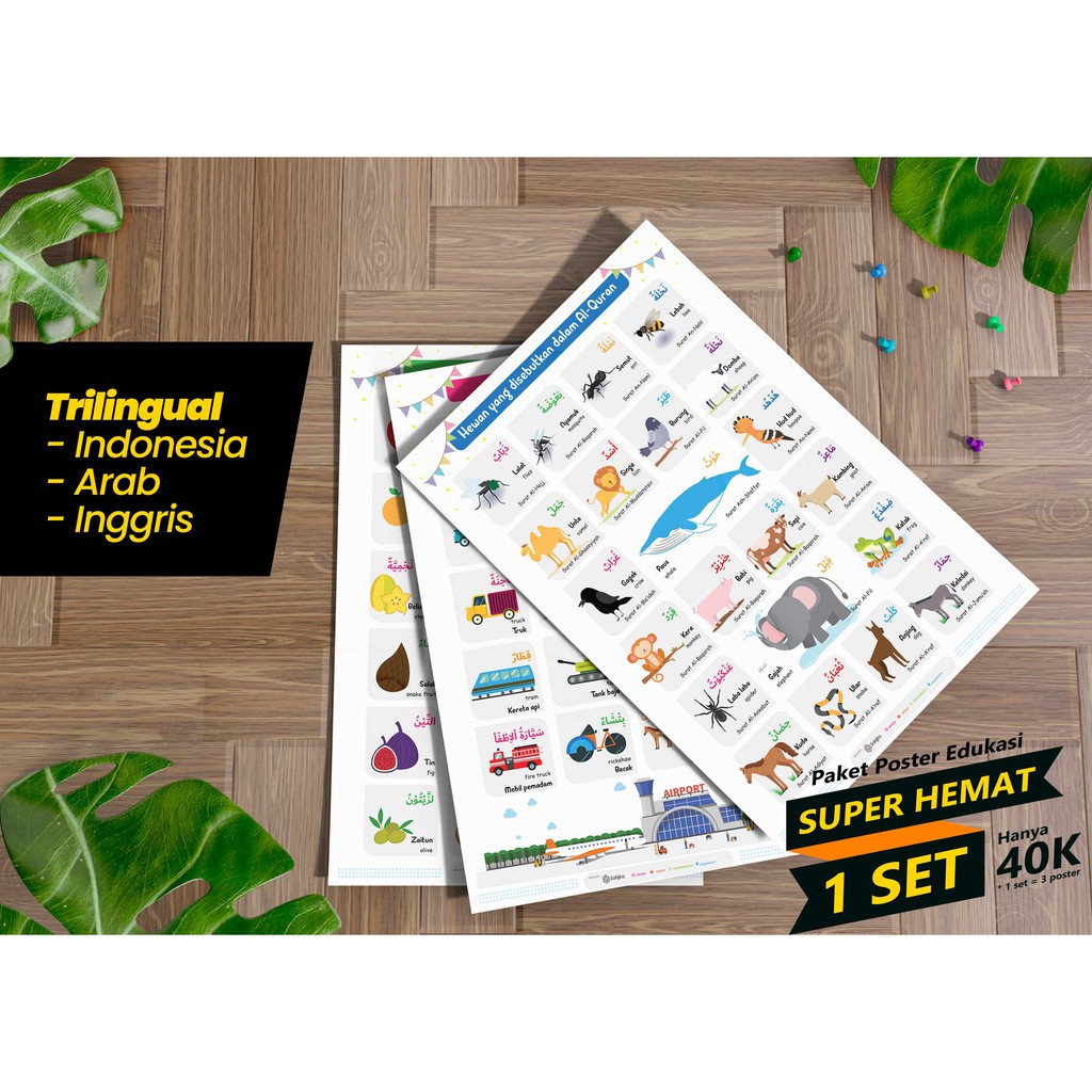 Poster Belajar Anak Mainan Edukasi Anak Paket Hewan Buah Transportasi SAHIJRA