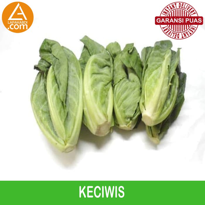 

Keciwis Sayur 250gr Garansi Termurah