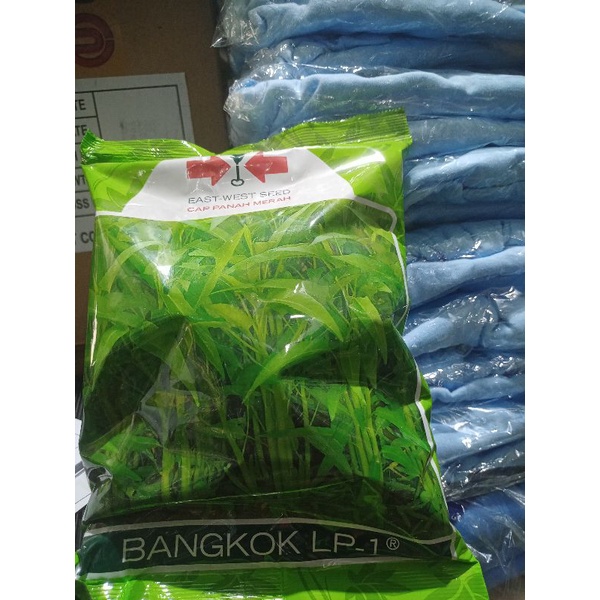 BENIH KANGKUNG BANGKOK LP-1