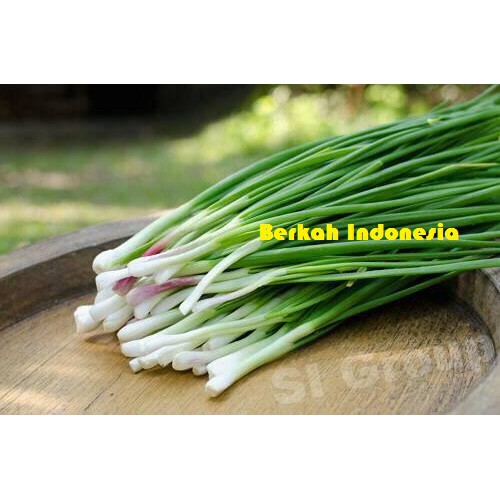 Daun Bawang Merah / Bawang Godong 1/4 (Siap Grosir) | Shopee Indonesia
