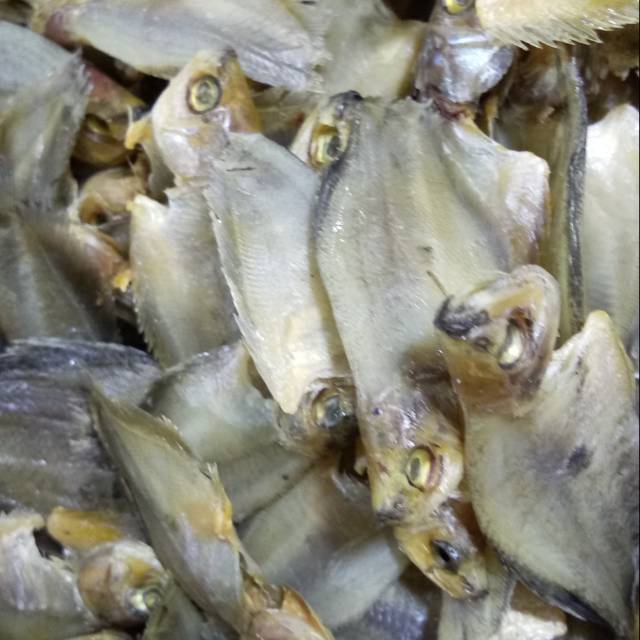 770 Koleksi Ikan Hias Air Tawar Balikpapan Gratis Terbaik