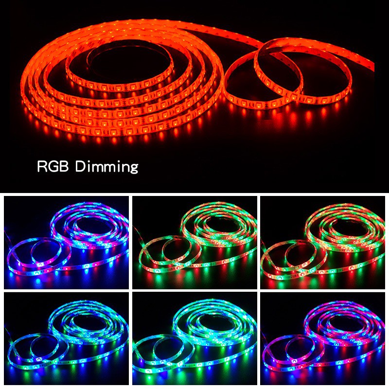 54D Led Strip RGB 2835 / 5050 IP65 12V Remote 10M 2 Cabang @5M