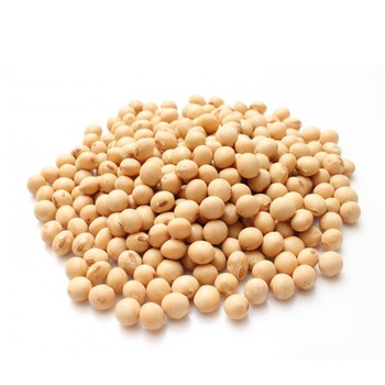 Biji Kacang Kedelai Soy Bean Kacang Kedele 500g