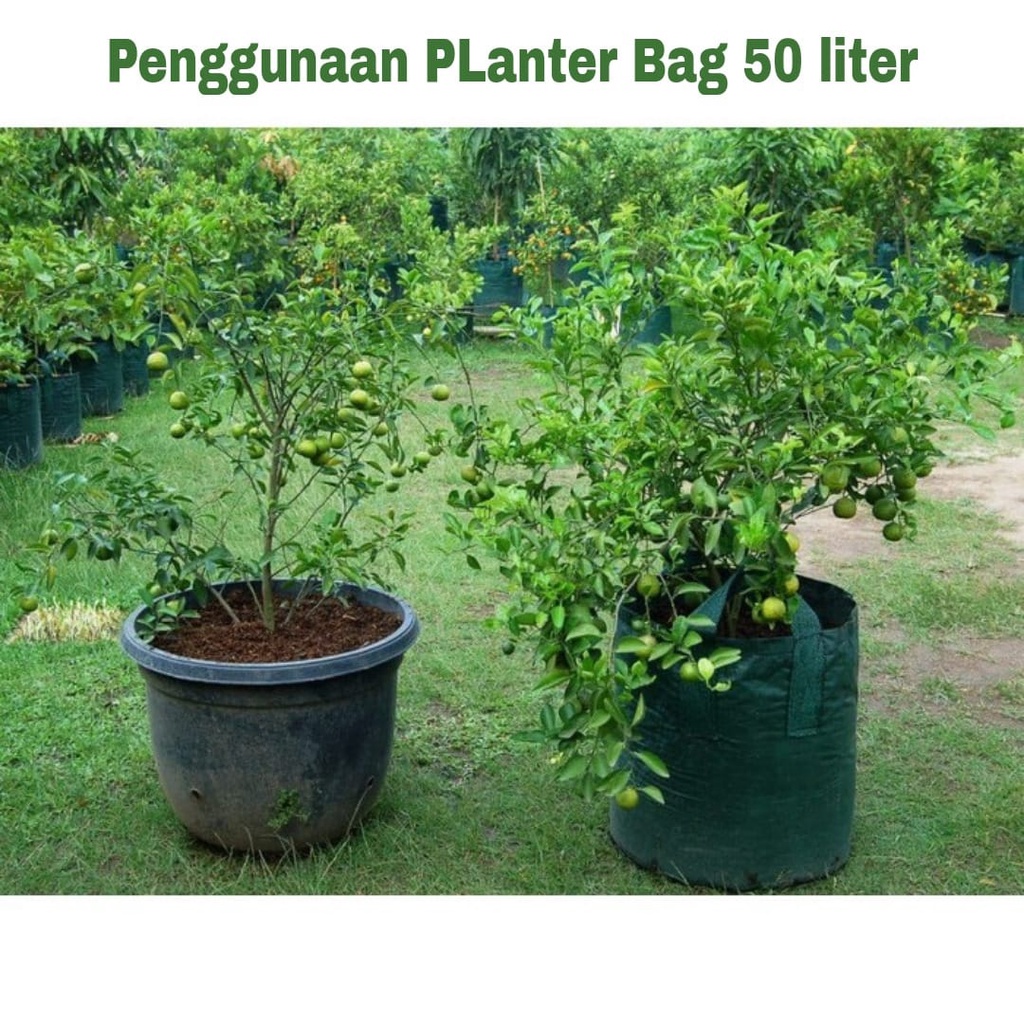 EASY GROW - PLANTER BAG 50 LITER - size 40 x 40 cm - planterbag easy grow - merk EASY GROW ASLI